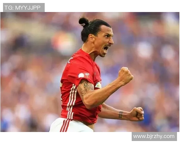 伊布帕尼尼足球卡收藏价值分析及未来市场前景探讨