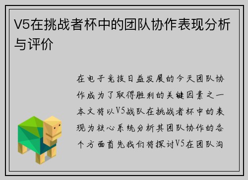 V5在挑战者杯中的团队协作表现分析与评价