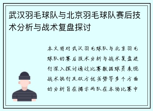 武汉羽毛球队与北京羽毛球队赛后技术分析与战术复盘探讨
