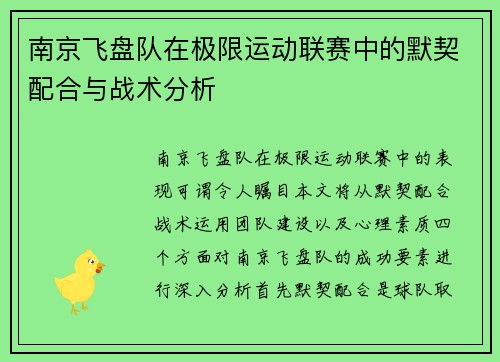 南京飞盘队在极限运动联赛中的默契配合与战术分析