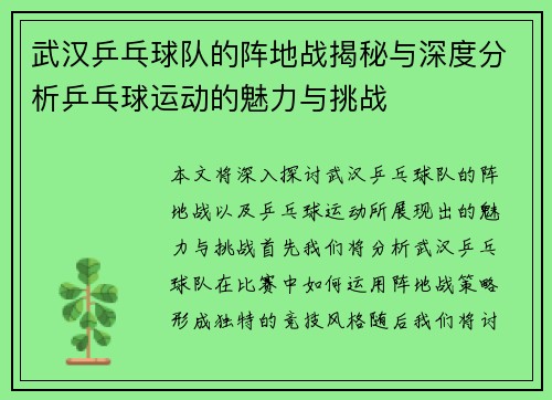 武汉乒乓球队的阵地战揭秘与深度分析乒乓球运动的魅力与挑战